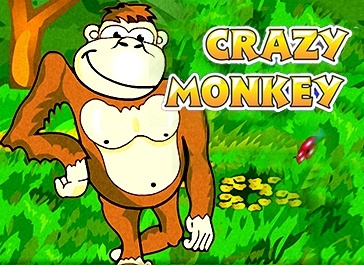 игры игровых автоматов обезьяны